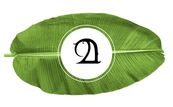 kerala-banana-leaf